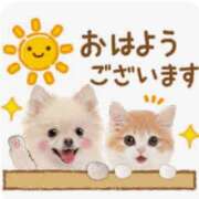 ヒメ日記 2026/09/02 11:56 投稿 桜もも花 五十路マダム 仙台店