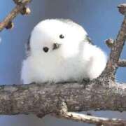 ヒメ日記 2025/02/10 06:49 投稿 ひよりさん いけない奥さん 梅田店