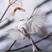 ヒメ日記 2025/03/21 06:38 投稿 ひよりさん いけない奥さん 梅田店