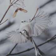 ヒメ日記 2025/05/02 18:31 投稿 ひよりさん いけない奥さん 梅田店