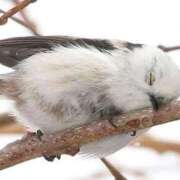 ヒメ日記 2025/05/21 01:58 投稿 ひよりさん いけない奥さん 梅田店