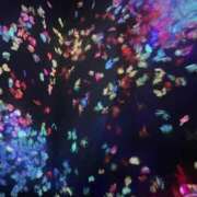 ヒメ日記 2026/03/03 02:21 投稿 まいな ポッキリ学園 ～モテモテハーレムごっこ～