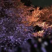 ヒメ日記 2025/03/22 10:59 投稿 はるき コスパラ