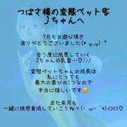 ヒメ日記 2025/09/04 14:46 投稿 つばさ 変態なんでも鑑定団
