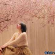 ヒメ日記 2026/02/08 20:23 投稿 つばさ 変態なんでも鑑定団