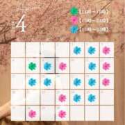 ヒメ日記 2026/03/24 11:46 投稿 つばさ 変態なんでも鑑定団