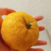 ヒメ日記 2024/12/22 02:54 投稿 佐藤 ありさ イキます 女子ANAウンサー