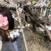 ヒメ日記 2025/04/05 08:24 投稿 横須賀　みく エテルナ京都