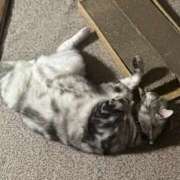 ヒメ日記 2025/02/24 08:21 投稿 青木 モアグループ所沢人妻城