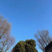 ヒメ日記 2025/03/10 08:42 投稿 青木 モアグループ所沢人妻城