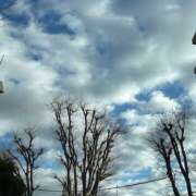 ヒメ日記 2025/03/20 07:51 投稿 青木 モアグループ所沢人妻城