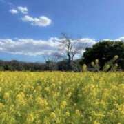 ヒメ日記 2025/03/22 08:12 投稿 青木 モアグループ所沢人妻城