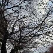 ヒメ日記 2025/03/27 08:18 投稿 青木 モアグループ所沢人妻城