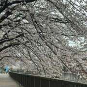 ヒメ日記 2025/03/29 07:57 投稿 青木 モアグループ所沢人妻城