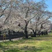 ヒメ日記 2025/04/06 08:03 投稿 青木 モアグループ所沢人妻城