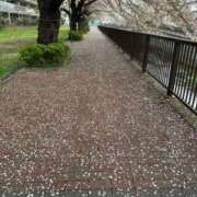 ヒメ日記 2025/04/12 08:12 投稿 青木 モアグループ所沢人妻城