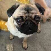 ヒメ日記 2025/04/13 07:51 投稿 青木 モアグループ所沢人妻城