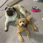 ヒメ日記 2025/04/24 08:18 投稿 青木 モアグループ所沢人妻城