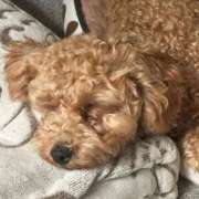 ヒメ日記 2025/06/05 08:27 投稿 青木 モアグループ所沢人妻城