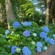 ヒメ日記 2025/06/22 07:51 投稿 青木 モアグループ所沢人妻城