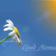 ヒメ日記 2025/06/23 08:33 投稿 青木 モアグループ所沢人妻城