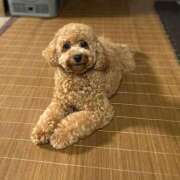 ヒメ日記 2025/07/16 08:27 投稿 青木 モアグループ所沢人妻城