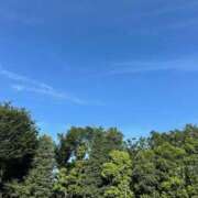 ヒメ日記 2025/07/28 08:12 投稿 青木 モアグループ所沢人妻城