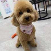 ヒメ日記 2026/01/28 20:36 投稿 青木 モアグループ所沢人妻城