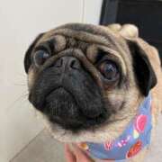 ヒメ日記 2026/02/20 14:06 投稿 青木 モアグループ所沢人妻城