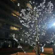 青木 出勤です。 モアグループ所沢人妻城