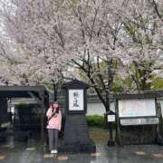 ヒメ日記 2026/04/13 10:41 投稿 サヤカ 【福岡デリヘル】20代・30代★博多で評判のお店はココです！