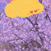 ヒメ日記 2025/04/09 09:23 投稿 のん 五反田・品川おかあさん