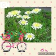 ヒメ日記 2025/04/12 19:23 投稿 のん 五反田・品川おかあさん