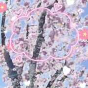 ヒメ日記 2025/04/16 14:03 投稿 のん 五反田・品川おかあさん