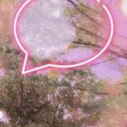 ヒメ日記 2025/04/19 09:23 投稿 のん 五反田・品川おかあさん