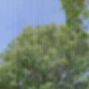 ヒメ日記 2025/05/03 10:23 投稿 のん 五反田・品川おかあさん