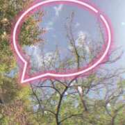 ヒメ日記 2025/05/07 08:23 投稿 のん 五反田・品川おかあさん