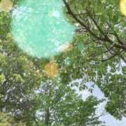 ヒメ日記 2025/05/16 09:23 投稿 のん 五反田・品川おかあさん