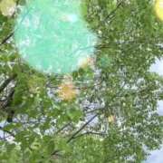 ヒメ日記 2025/06/01 09:23 投稿 のん 五反田・品川おかあさん