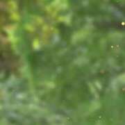 ヒメ日記 2025/06/07 11:43 投稿 のん 五反田・品川おかあさん