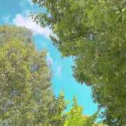 ヒメ日記 2025/06/21 09:23 投稿 のん 五反田・品川おかあさん