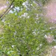 ヒメ日記 2025/07/04 11:43 投稿 のん 五反田・品川おかあさん