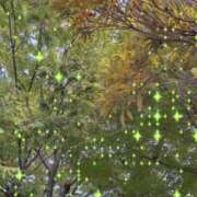 ヒメ日記 2025/07/05 09:23 投稿 のん 五反田・品川おかあさん