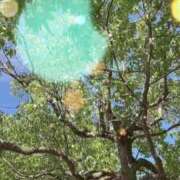 ヒメ日記 2025/07/20 09:31 投稿 のん 五反田・品川おかあさん