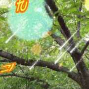 ヒメ日記 2025/08/01 10:53 投稿 のん 五反田・品川おかあさん