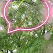 ヒメ日記 2025/08/10 09:13 投稿 のん 五反田・品川おかあさん