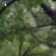 ヒメ日記 2025/08/11 11:23 投稿 のん 五反田・品川おかあさん