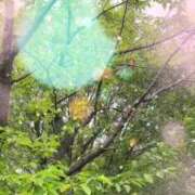 ヒメ日記 2025/08/12 09:23 投稿 のん 五反田・品川おかあさん