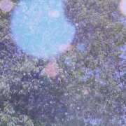 ヒメ日記 2025/08/18 08:33 投稿 のん 五反田・品川おかあさん