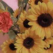 ヒメ日記 2025/09/03 09:13 投稿 のん 五反田・品川おかあさん